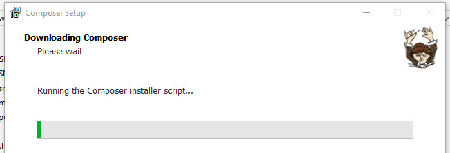 Running the composer installation script