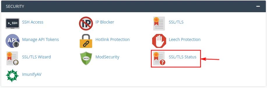 cPanel SSL/TLS Status