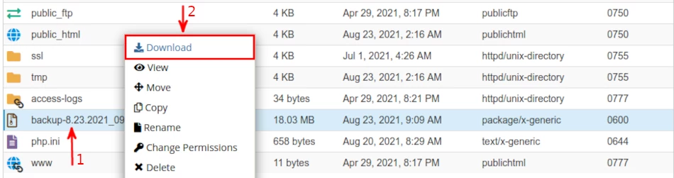 Downloading website backup from cpanel filemanager