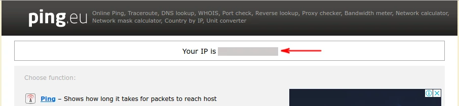 IP address checkup with ping.eu