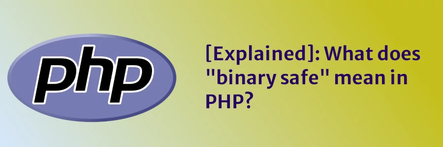 [Explained]: What does “binary safe” mean in PHP?